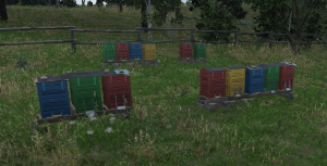 Beehives.png